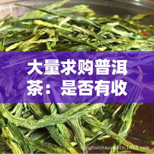 大量求购普洱茶：是否有收购需求？