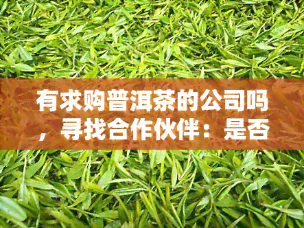 有求购普洱茶的公司吗，寻找合作伙伴：是否有销售普洱茶的公司？