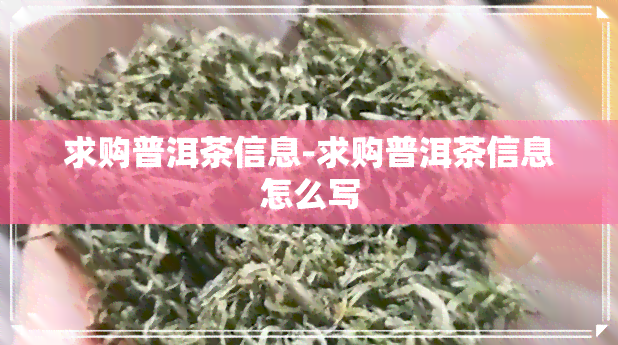 求购普洱茶信息-求购普洱茶信息怎么写