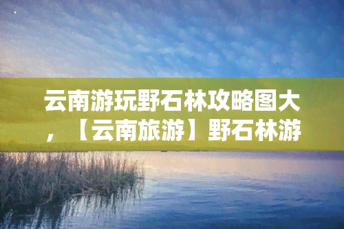 云南游玩野石林攻略图大，【云南旅游】野石林游玩攻略大，带你领略大自然的鬼斧神工！