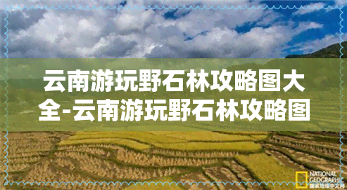 云南游玩野石林攻略图大全-云南游玩野石林攻略图大全视频