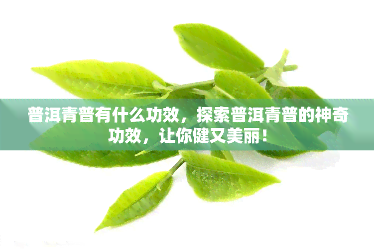 普洱青普有什么功效，探索普洱青普的神奇功效，让你健又美丽！