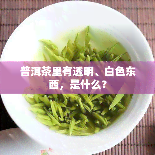 普洱茶里有透明、白色东西，是什么？