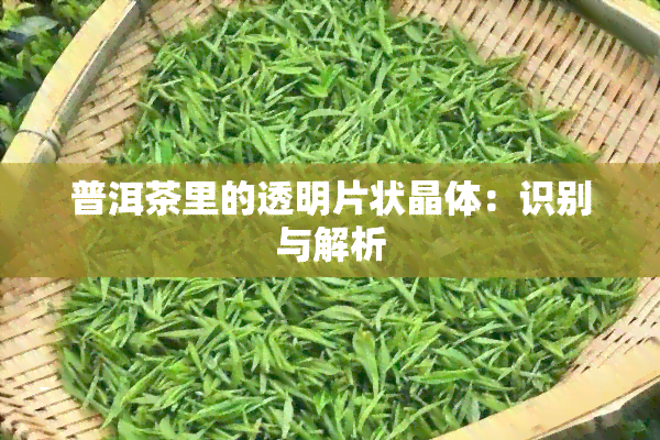 普洱茶里的透明片状晶体：识别与解析