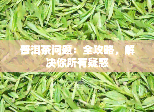 普洱茶问题：全攻略，解决你所有疑惑