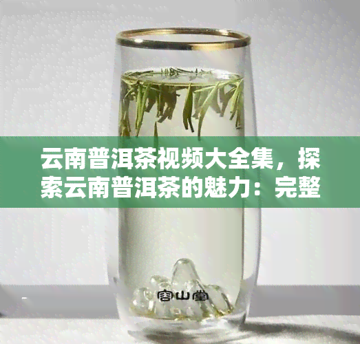 云南普洱茶视频大全集，探索云南普洱茶的魅力：完整视频大全集