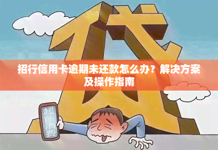 招行信用卡逾期未还款怎么办？解决方案及操作指南