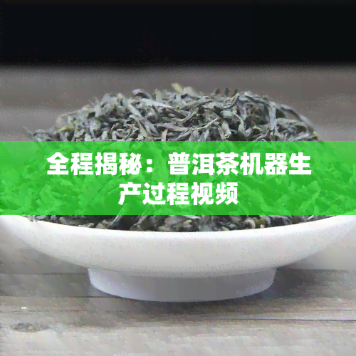 全程揭秘：普洱茶机器生产过程视频