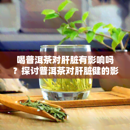 喝普洱茶对肝脏有影响吗？探讨普洱茶对肝脏健的影响及风险