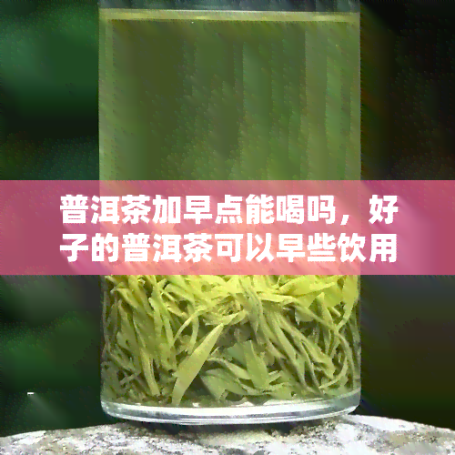 普洱茶加早点能喝吗，好子的普洱茶可以早些饮用吗？