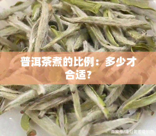 普洱茶煮的比例：多少才合适？