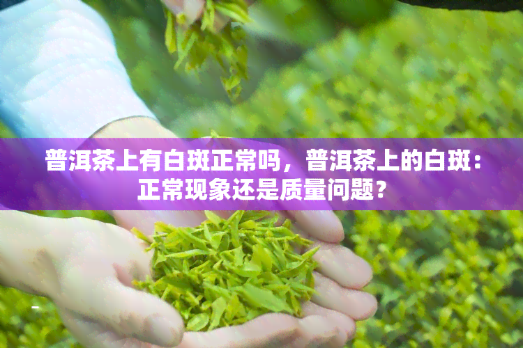 普洱茶上有白斑正常吗，普洱茶上的白斑：正常现象还是质量问题？