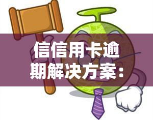 信信用卡逾期解决方案：逾期、还不上怎么办？