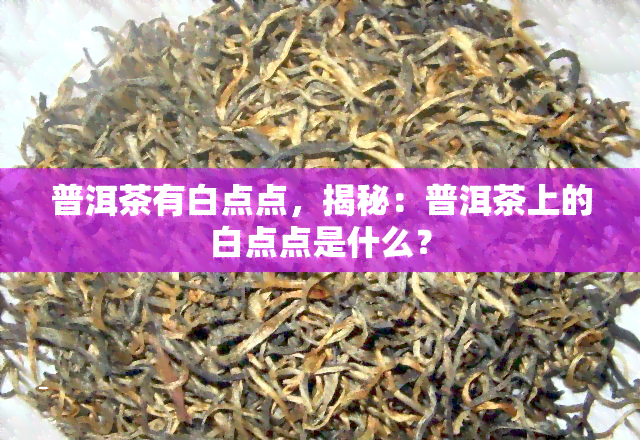 普洱茶有白点点，揭秘：普洱茶上的白点点是什么？