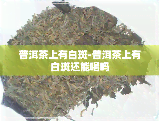 普洱茶上有白斑-普洱茶上有白斑还能喝吗