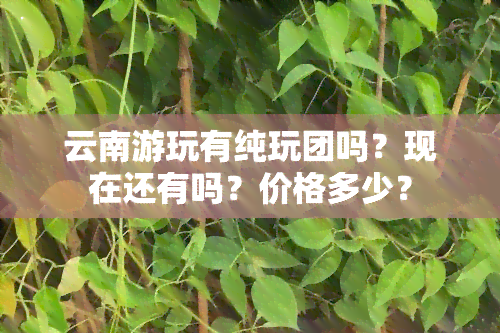 云南游玩有纯玩团吗？现在还有吗？价格多少？