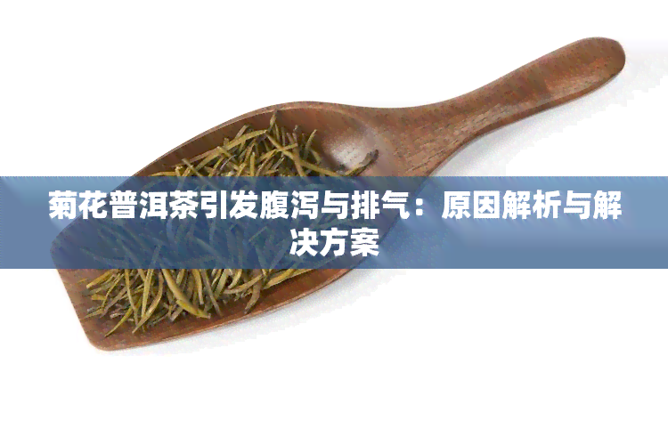 菊花普洱茶引发腹泻与排气：原因解析与解决方案