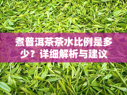 煮普洱茶茶水比例是多少？详细解析与建议