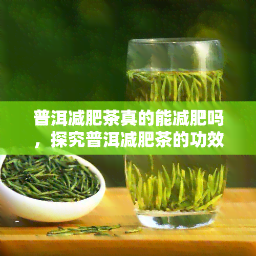 普洱减肥茶真的能减肥吗，探究普洱减肥茶的功效：真的能帮助减肥吗？