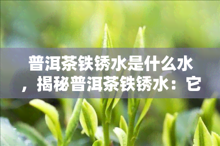 普洱茶铁锈水是什么水，揭秘普洱茶铁锈水：它究竟是什么水？