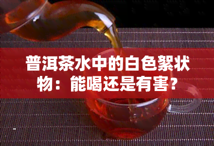 普洱茶水中的白色絮状物：能喝还是有害？