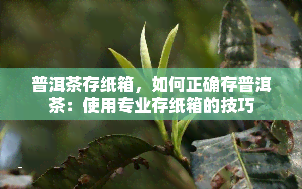 普洱茶存纸箱，如何正确存普洱茶：使用专业存纸箱的技巧