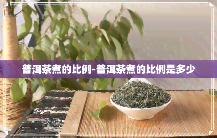 普洱茶煮的比例-普洱茶煮的比例是多少