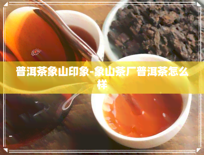 普洱茶象山印象-象山茶厂普洱茶怎么样