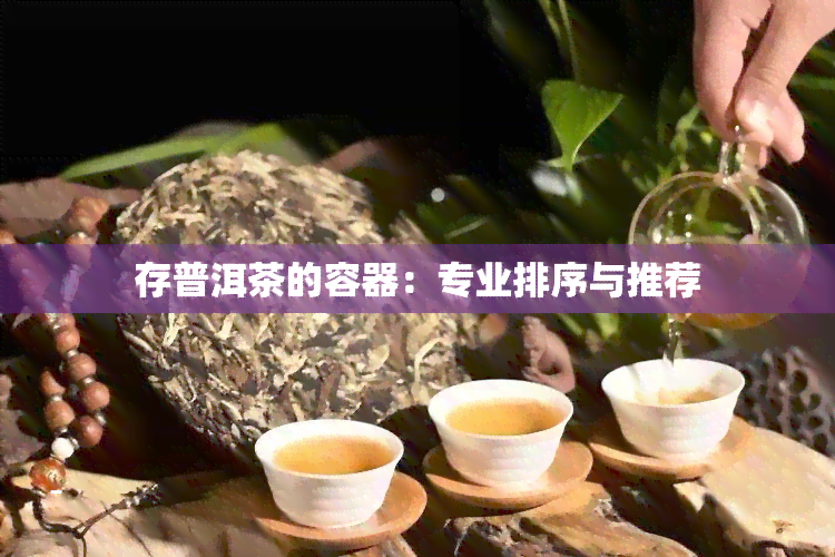 存普洱茶的容器：专业排序与推荐