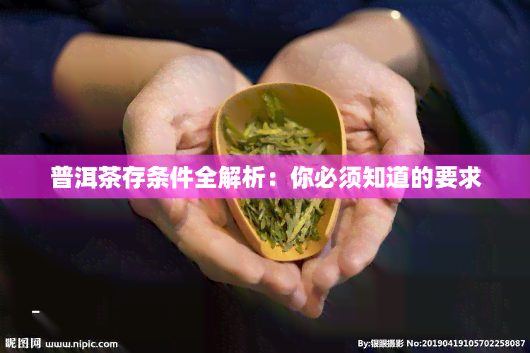 普洱茶存条件全解析：你必须知道的要求