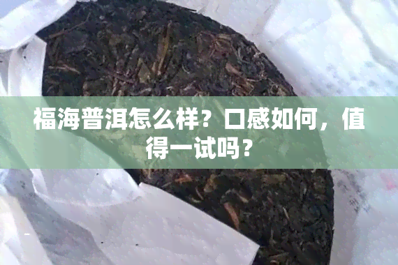 福海普洱怎么样？口感如何，值得一试吗？