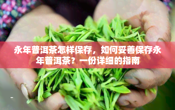 永年普洱茶怎样保存，如何妥善保存永年普洱茶？一份详细的指南