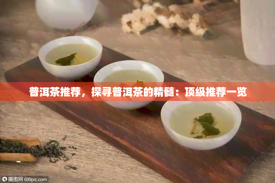 普洱茶推荐，探寻普洱茶的精髓：顶级推荐一览