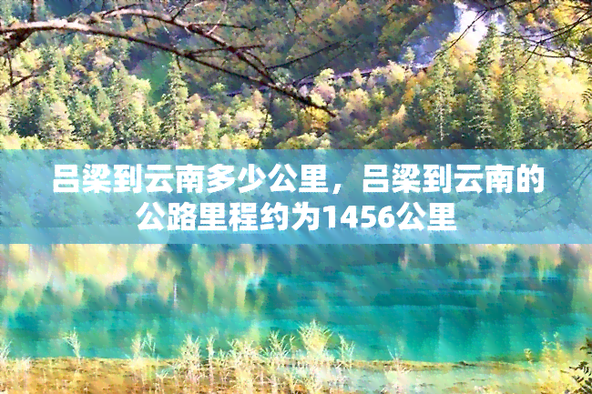 吕梁到云南多少公里，吕梁到云南的公路里程约为1456公里