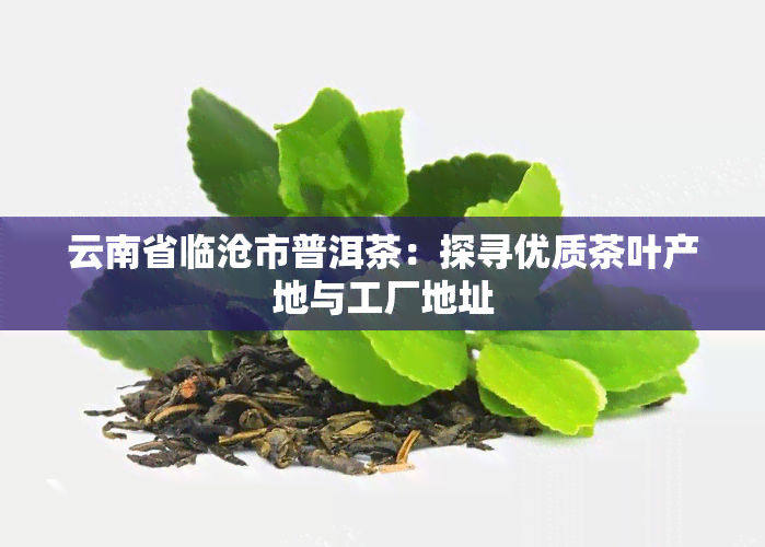 云南省临沧市普洱茶：探寻优质茶叶产地与工厂地址