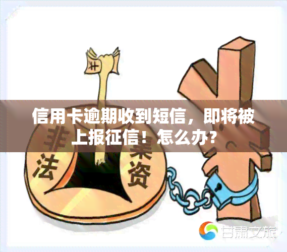 信用卡逾期收到短信，即将被上报！怎么办？