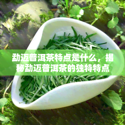 勐迈普洱茶特点是什么，揭秘勐迈普洱茶的独特特点