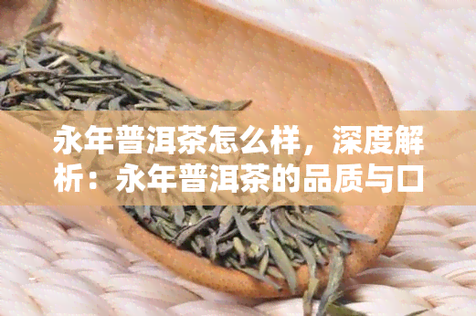 永年普洱茶怎么样，深度解析：永年普洱茶的品质与口感究竟如何？