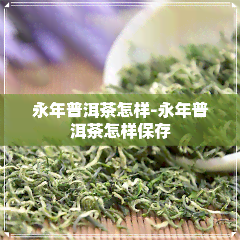 永年普洱茶怎样-永年普洱茶怎样保存