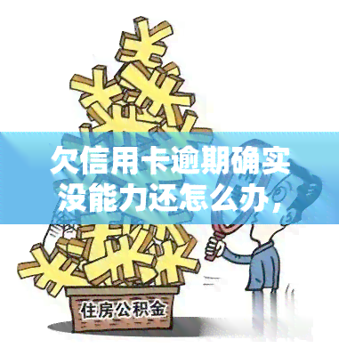 欠信用卡逾期确实没能力还怎么办，信用卡逾期无力偿还？解决办法在此！