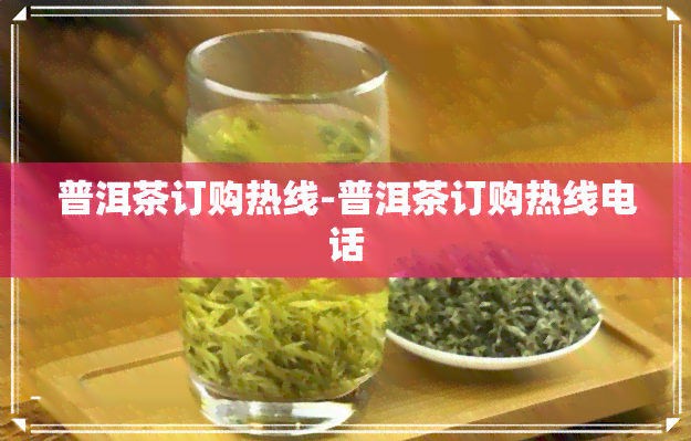 普洱茶订购热线-普洱茶订购热线电话