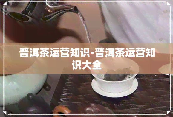 普洱茶运营知识-普洱茶运营知识大全