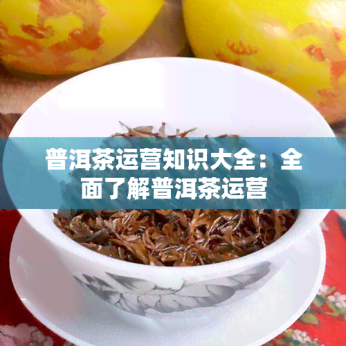 普洱茶运营知识大全：全面了解普洱茶运营