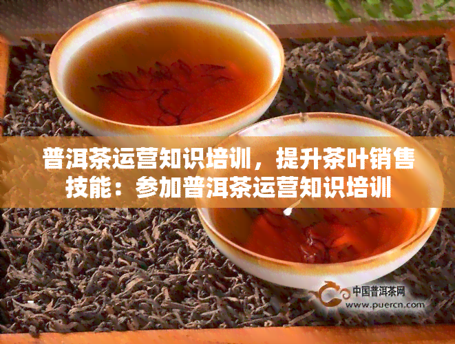 普洱茶运营知识培训，提升茶叶销售技能：参加普洱茶运营知识培训