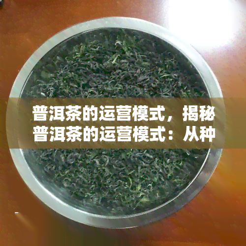 普洱茶的运营模式，揭秘普洱茶的运营模式：从种植到销售的全过程解析