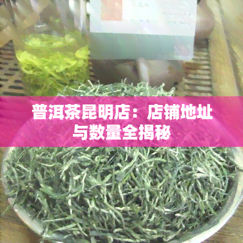 普洱茶昆明店：店铺地址与数量全揭秘