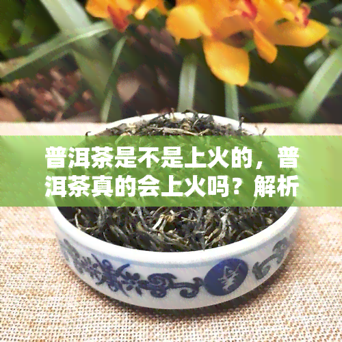 普洱茶是不是上火的，普洱茶真的会上火吗？解析其功效与副作用