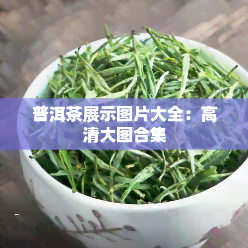 普洱茶展示图片大全：高清大图合集