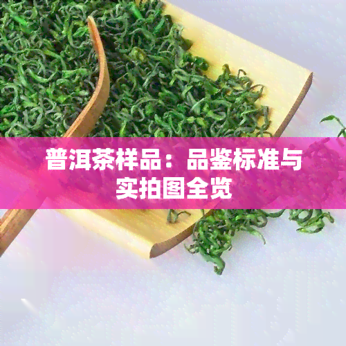 普洱茶样品：品鉴标准与实拍图全览