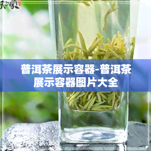 普洱茶展示容器-普洱茶展示容器图片大全